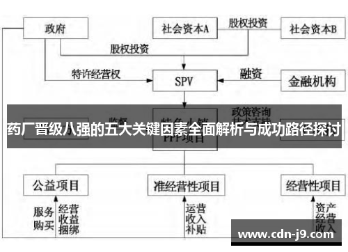药厂晋级八强的五大关键因素全面解析与成功路径探讨