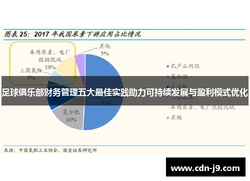 足球俱乐部财务管理五大最佳实践助力可持续发展与盈利模式优化