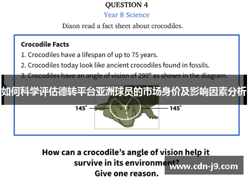 如何科学评估德转平台亚洲球员的市场身价及影响因素分析