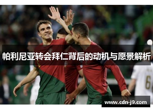 帕利尼亚转会拜仁背后的动机与愿景解析