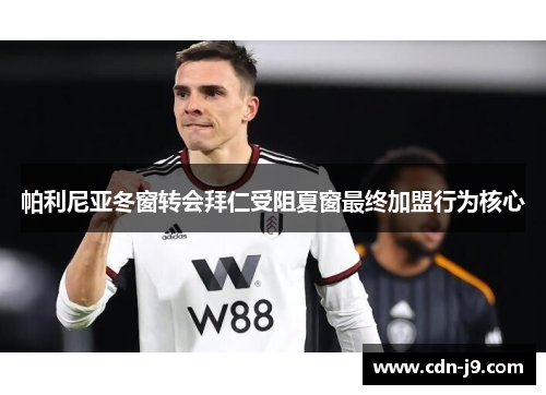 帕利尼亚冬窗转会拜仁受阻夏窗最终加盟行为核心 帕利尼亚冬窗转会拜仁受阻夏窗最终加盟行为核心