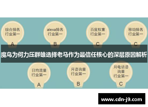 魔鸟为何力压群雄选择老马作为最信任核心的深层原因解析