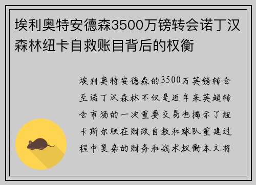埃利奥特安德森3500万镑转会诺丁汉森林纽卡自救账目背后的权衡